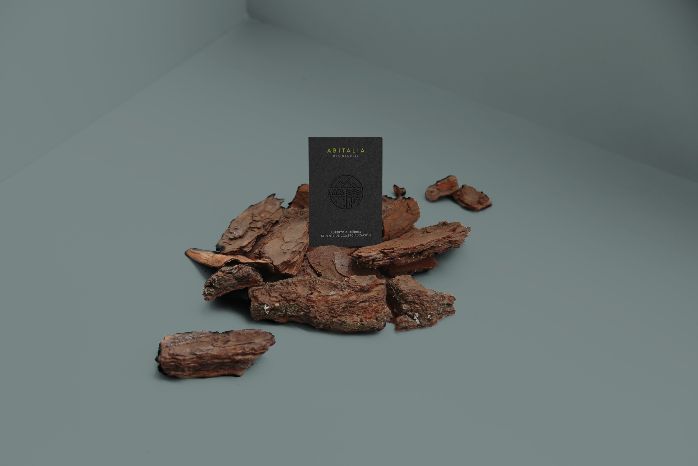 Abitalia_BC_Bosque_1